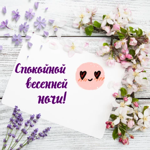Открытка спокойной весенней ночи