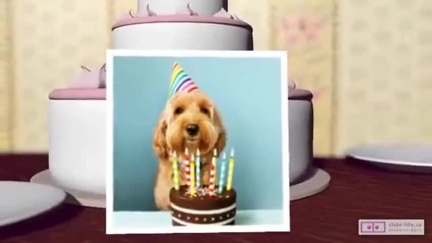 Прикольное видео поздравление с днем рождения мужчине 35 лет