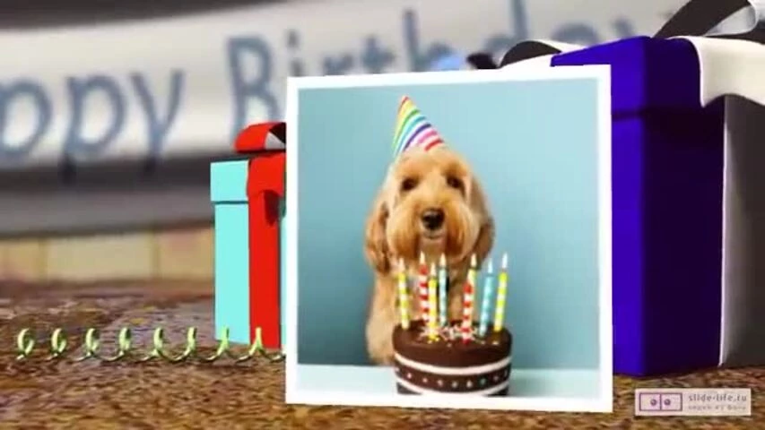 Прикольное видео поздравление с днем рождения мужчине 31 год