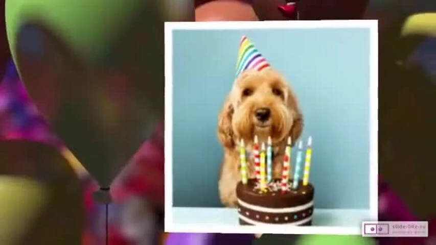 Прикольное видео поздравление с днем рождения мужчине 29 лет