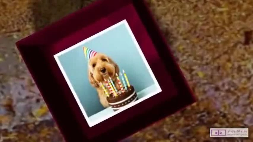 Прикольное видео поздравление с днем рождения мужчине 28 лет